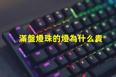 滿盤燈珠的燈為什么貴