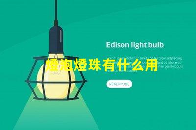 燈泡燈珠有什么用