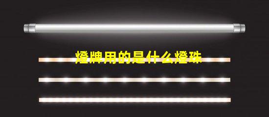 燈牌用的是什么燈珠