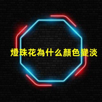 燈珠花為什么顏色變淡
