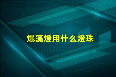 爆藻燈用什么燈珠