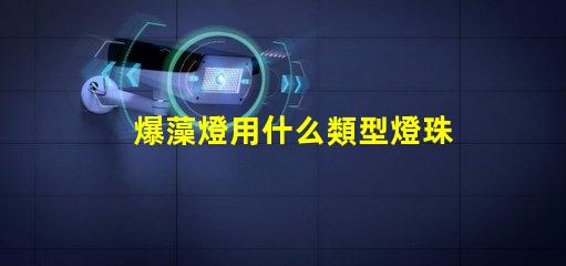 爆藻燈用什么類型燈珠