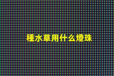 種水草用什么燈珠