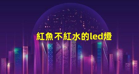 紅魚不紅水的led燈珠