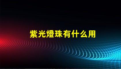 紫光燈珠有什么用