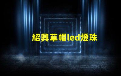 紹興草帽led燈珠