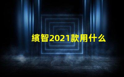 繽智2021款用什么燈珠
