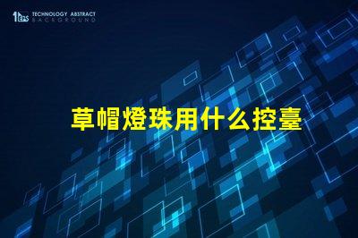 草帽燈珠用什么控臺