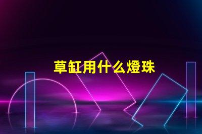 草缸用什么燈珠