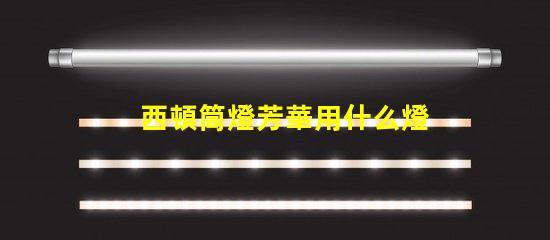 西頓筒燈芳華用什么燈珠