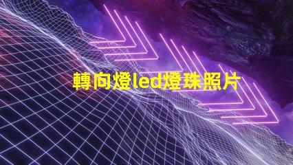 轉向燈led燈珠照片