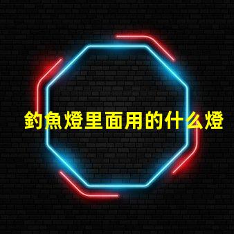 釣魚燈里面用的什么燈珠