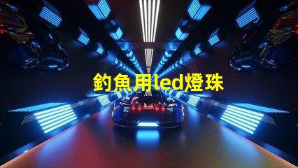 釣魚用led燈珠