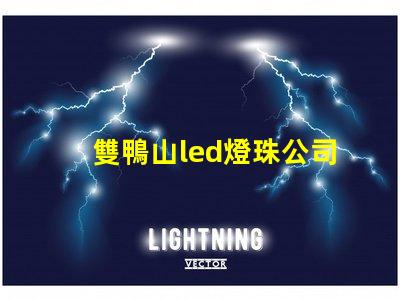 雙鴨山led燈珠公司