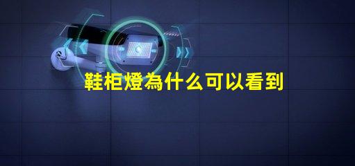 鞋柜燈為什么可以看到燈珠