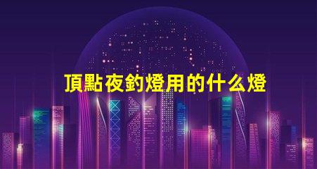 頂點夜釣燈用的什么燈珠