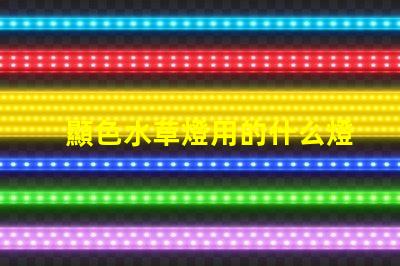 顯色水草燈用的什么燈珠