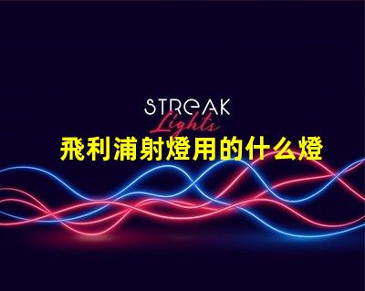 飛利浦射燈用的什么燈珠