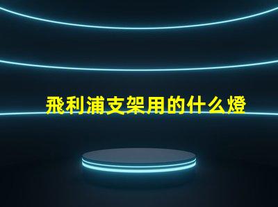 飛利浦支架用的什么燈珠