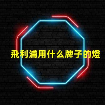 飛利浦用什么牌子的燈珠