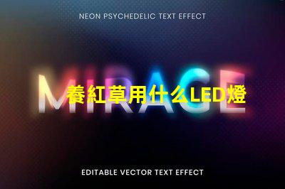 養紅草用什么LED燈珠