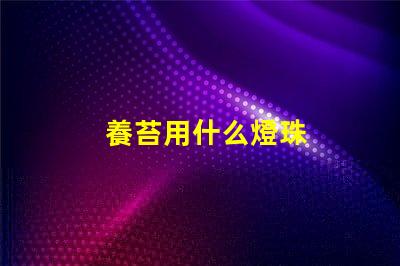 養苔用什么燈珠