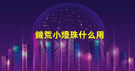 饑荒小燈珠什么用