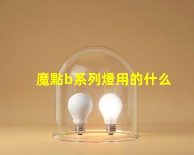 魔點b系列燈用的什么燈珠