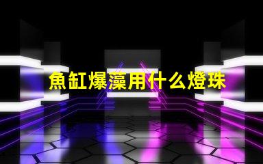 魚缸爆藻用什么燈珠